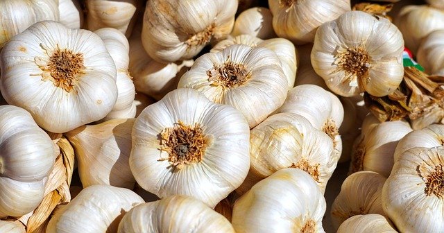 Alho, o superalimento antioxidante que combate doenças